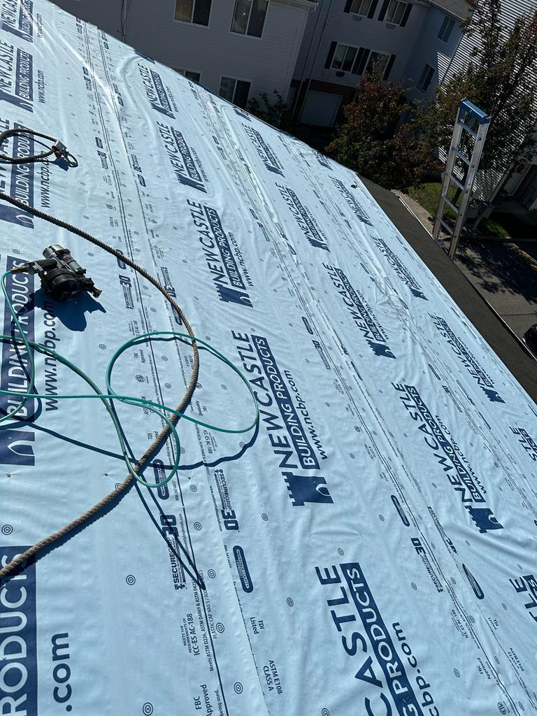 WhatsApp Image 2026-04-07 at 12.25.44 AM (1)