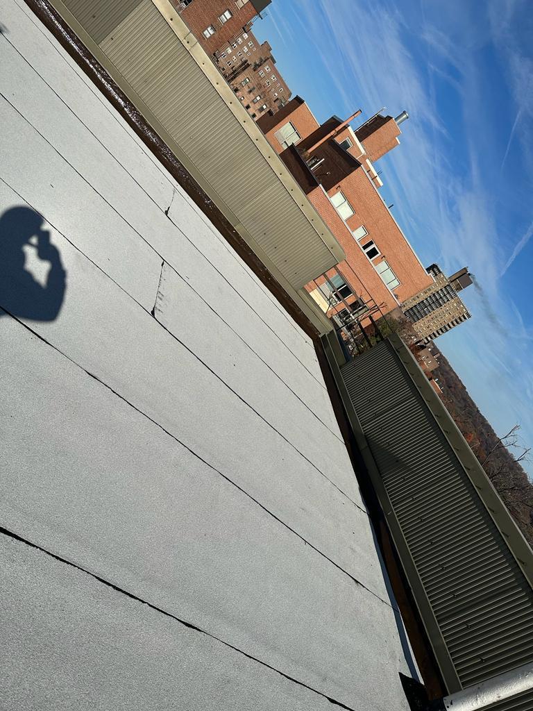 WhatsApp Image 2026-04-07 at 12.25.53 AM (2)